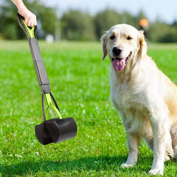 Golden retriever beside a professional pooper scooper tool on a green Oklahoma lawn